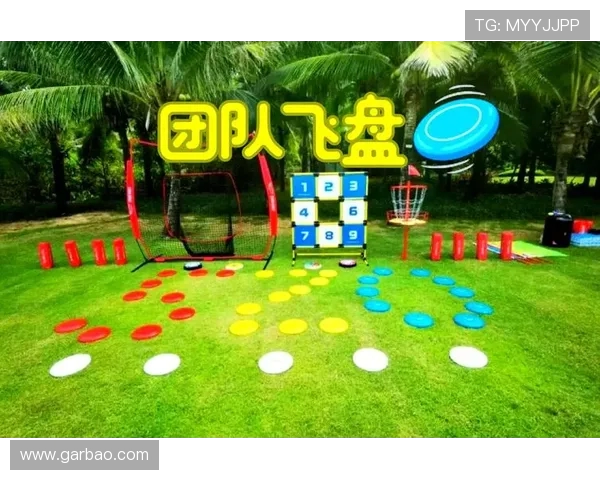 南京飞盘队的节奏揭秘：探索飞盘运动的魅力与团队精神