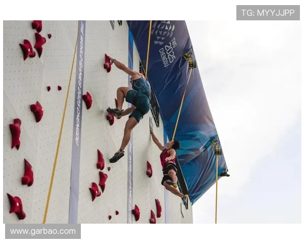 成都攀岩队协作技巧与团队配合的深入分析与探讨