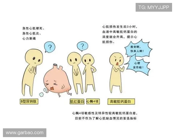 高敏心理特征的科学解读与应对策略分析：探索高敏个体的独特感知与行为模式