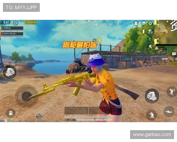 黄秀英专访:畅谈和平精英的成长与未来展望